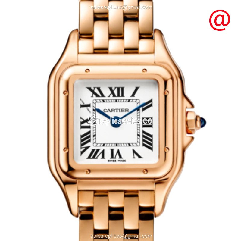 Elegant Cartier WGPN0006 Panthere De Cartier Replica Watch | Silver Dial, 18kt Gold Case & Strap