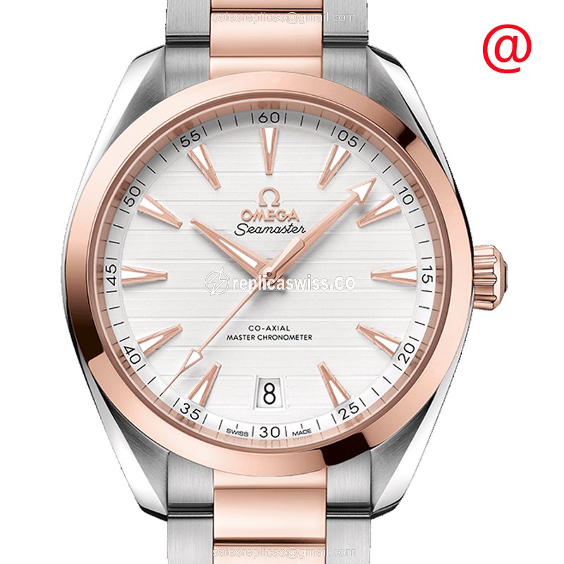Omega Seamaster 220.20.41.21.02.001 Replica | Automatic Movement, 18kt Steel Case & Silver Dial