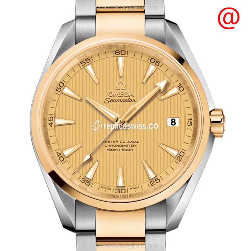 Omega Seamaster 231.20.42.21.08.001 | Automatic Movement | 18kt Gold Case & Strap Watch