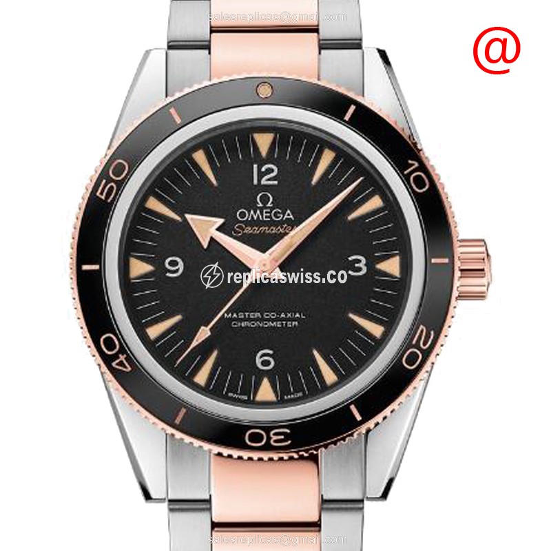 Omega Seamaster 233.20.41.21.01.001 | Automatic Movement | Black Dial & 18kt Steel Strap Watch
