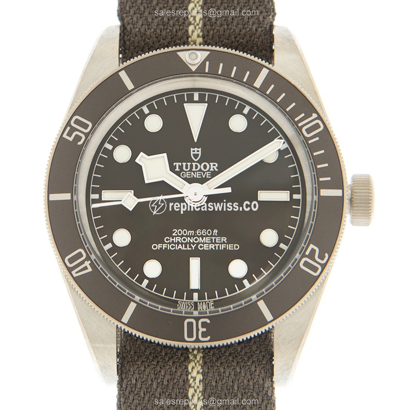 Tudor 79010SG Black Bay 1958 Replica Watch: Automatic Movement, 925 Silver Case, Canvas strap