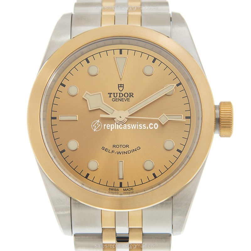 Tudor 79543CH Automatic Gold-Steel Case Gold-Steel Bracelet Replica Watch